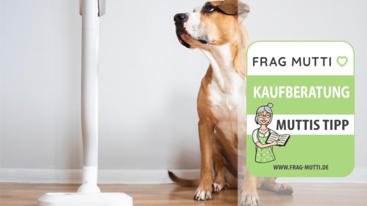 tierhaarstaubsauger test