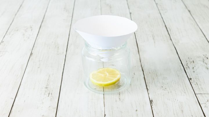 Hier sieht man die selbstgemachte Fruchtfliegenfalle aus einem Glas, einem Blatt Papier und einem St&uuml;ck Zitrone.