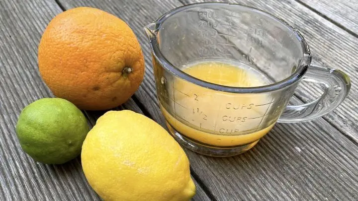 Der frischgepresste Zitrussaft wird f&uuml;r die leckere selbstgemachte Vinaigrette mit Joghurt verwendet.