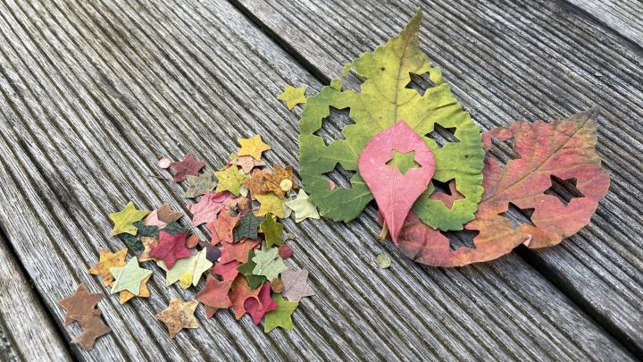 Bunte, ausgestanzte Laubbl&auml;tter liegen auf einem Holztisch, umgeben von farbenfrohem Konfetti aus Bl&auml;ttern.