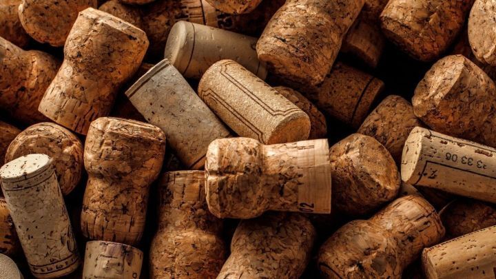 Zahlreiche Sektkorken liegen zerstreut auf einer Fl&auml;che, bereit, mit einer Schere entfernt zu werden.