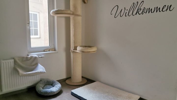 Ein Kratzbaum steht in einem minimalistisch eingerichteten Raum, in dem ein Hundebett und eine Decke liegen; an der Wand steht &bdquo;Willkommen&ldquo;.