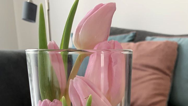 Ein Vasenarrangement mit rosa Tulpen steht auf einem Holztisch, umgeben von einem grauen Sofa mit Kissen.