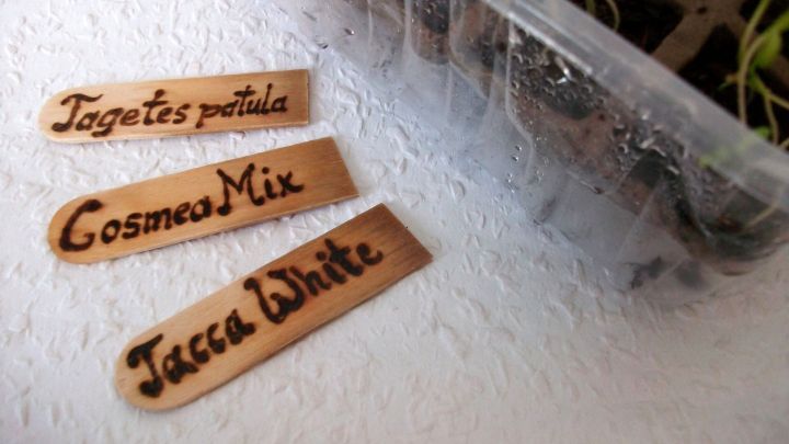 Holzstecker mit Pflanzenbezeichnungen liegen neben einer Anzuchtbox, um die Pflanzenarten zu kennzeichnen.