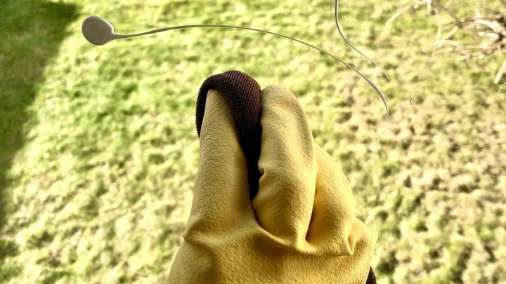 Eine gelbe Handschuhhand h&auml;lt ein Reinigungstuch, um Farbspritzer von einem Fenster im Hintergrund mit Gras zu entfernen.