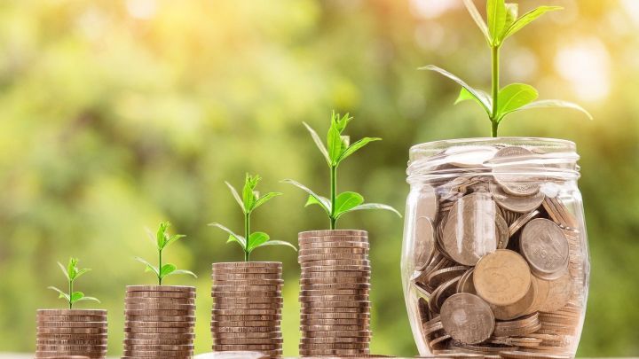 M&uuml;nzstapel mit kleinen Pflanzen sprie&szlig;en, um finanzielle Vorsorge f&uuml;r Kinder symbolisch darzustellen, vor einem gr&uuml;nen Hintergrund.