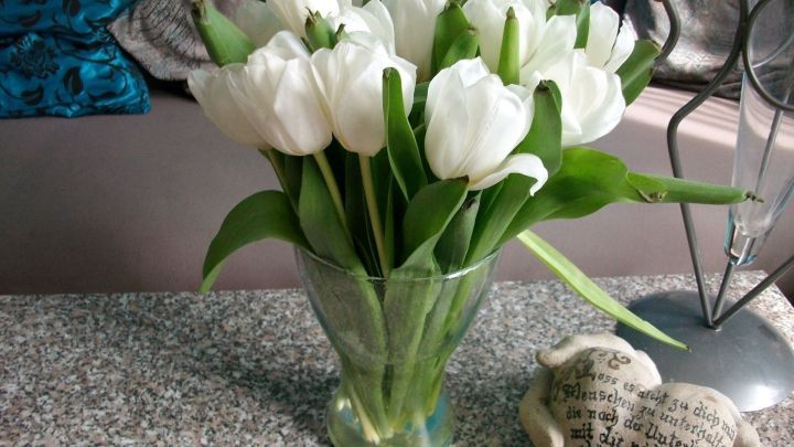 Wei&szlig;e Tulpen stehen frisch im Glas, w&auml;hrend sie in einem Wohnzimmer auf einem Tisch zwischen Deko-Elementen arrangiert sind.