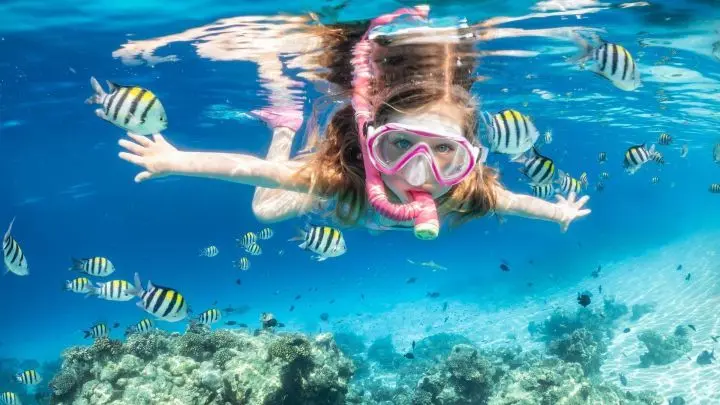 Schau mal, die Fische im Meer! Probiere doch mal das Schnorcheln aus. Dabei hast du auch nicht so einen Druck auf den Ohren, weil du gar nicht tief tauchen musst. Trotzdem siehst du die sch&ouml;ne Unterwasserwelt.