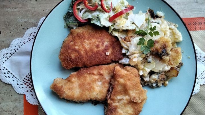 Saftige Putenschnitzel liegen auf einem Teller, umgeben von cremigem Kartoffelgratin und frischem Salat.