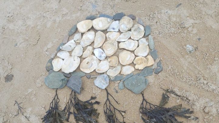 Auf dem Sand liegt eine kreative Strandkunst: Muscheln und Steine bilden eine Quallenform mit Algen als Tentakeln.