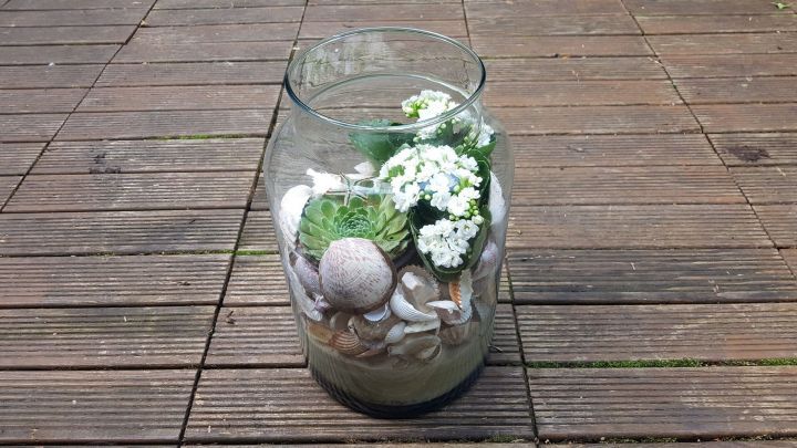 Ein Glas-Mini-Steingarten zeigt lebendige Sukkulenten und Muscheln auf Holzdecks, harmonisch und dekorativ arrangiert.