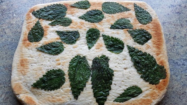 Ein Fladenbrot liegt flach auf einer Oberfl&auml;che und ist mit frischen Brennnesselbl&auml;ttern dekoriert, um es zu verfeinern.
