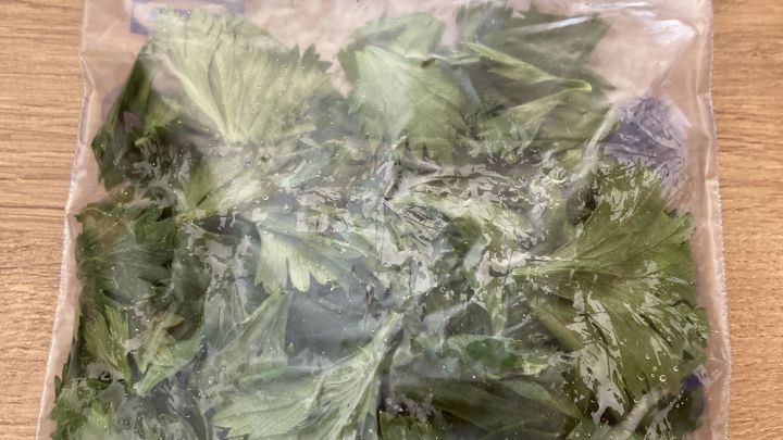 Ein Plastikbeutel mit frischen Kr&auml;utern, der gef&uuml;llt und bereit zum Einfrieren auf einem Tisch liegt.