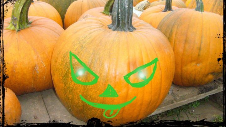 Eine gro&szlig;e, orangefarbene K&uuml;rbis mit einem gruseligen, humorvollen Gesicht steht zwischen vielen anderen K&uuml;rbissen in einem Feld.