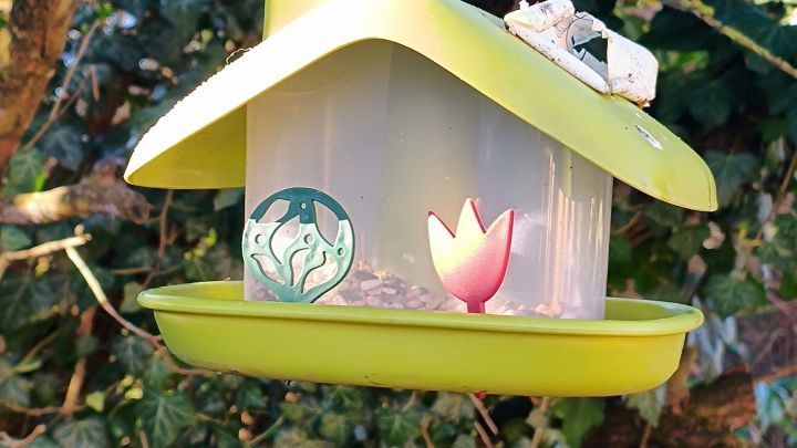 Ein gr&uuml;ner Vogelhausf&uuml;tterer h&auml;ngt in einem Baum, gef&uuml;llt mit Futter, um V&ouml;gel ohne Angst vor Katzen zu f&uuml;ttern.