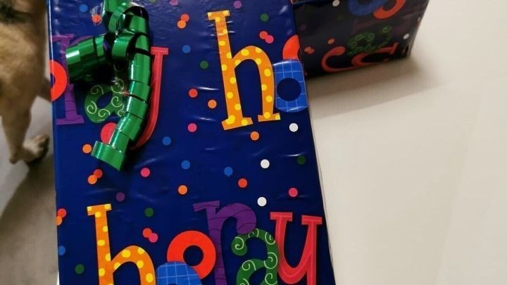 Bunte Mehrweg-Geschenkverpackung mit gr&uuml;nem Band und Karte auf einem Tisch, daneben ein Hund im Hintergrund.