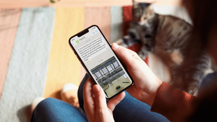 Eine Person h&auml;lt ein Smartphone, auf dem ein WhatsApp-Chat zu sehen ist, w&auml;hrend ein Kater im Hintergrund entspannt.