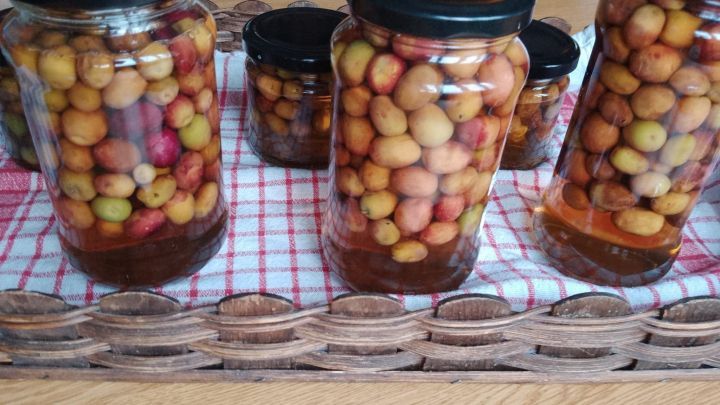 Gl&auml;ser mit eingelegten Oliven stehen auf einem gestreiften Tuch, umgeben von einem rustikalen Holzkorb auf dem Tisch.