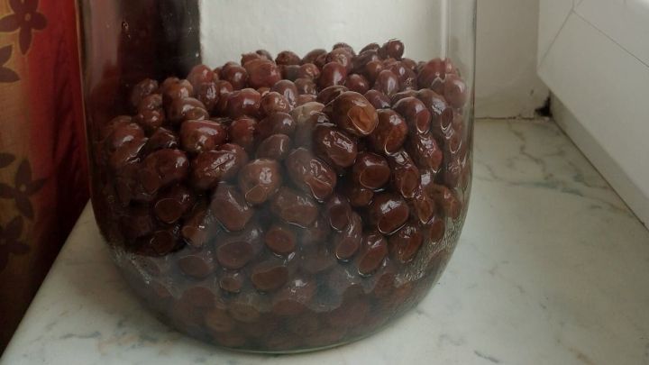 Ein gro&szlig;es Glasgef&auml;&szlig; steht auf einem Tisch und enth&auml;lt viele Oliven, die auf die Ernte warten.