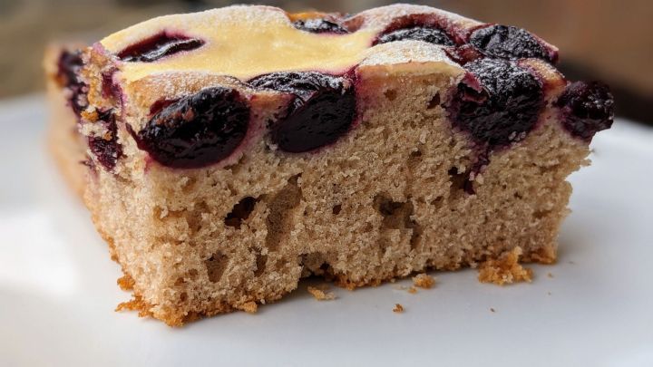 Ein St&uuml;ck Quark-Kirschkuchen mit saftigen Kirschen liegt auf einem wei&szlig;en Teller und wartet auf Genuss.