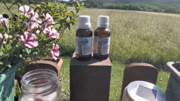 Zwei Flaschen mit Pfefferminz- und Teebaum&ouml;l stehen auf einem Holzpfosten, umgeben von einer bl&uuml;henden Pflanze und weitl&auml;ufigem Feld.
