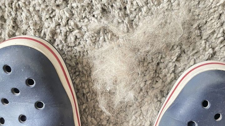 Graue Teppichfl&auml;che mit Hundehaaren, w&auml;hrend die Crocs daneben stehen und dabei helfen, die Haare zu entfernen.