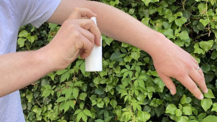 Eine Person spr&uuml;ht M&uuml;ckenspray auf ihren Arm, w&auml;hrend sie von &uuml;ppigem, gr&uuml;nem Efeu umgeben ist.
