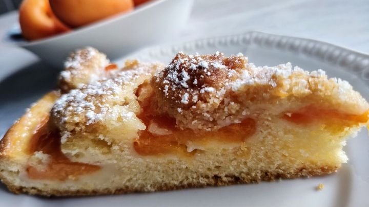 Ein saftiges St&uuml;ck Aprikosenkuchen liegt auf einem Teller, umgeben von einer Sch&uuml;ssel mit frischen Aprikosen.