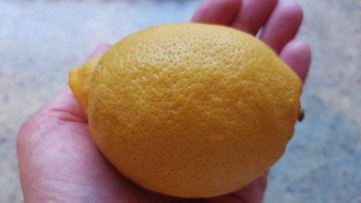 Eine ganze Zitrone liegt auf einer Handfl&auml;che, umgeben von einer weichen, unscharfen K&uuml;chenlandschaft.