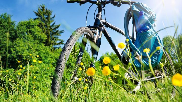 Ein Fahrrad steht auf einer bl&uuml;henden Wiese, mit einer blauen Wasserflasche im Rucksack. Die Sonne scheint bei klarem Himmel.
