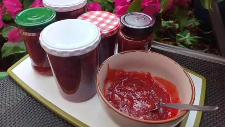 Eine Schale mit Zwetschgenmus neben f&uuml;nf Marmeladengl&auml;sern auf einem Tablett, umgeben von pinken Bl&uuml;ten im Freien. Text: 9. Sept. 2024, 18:46.