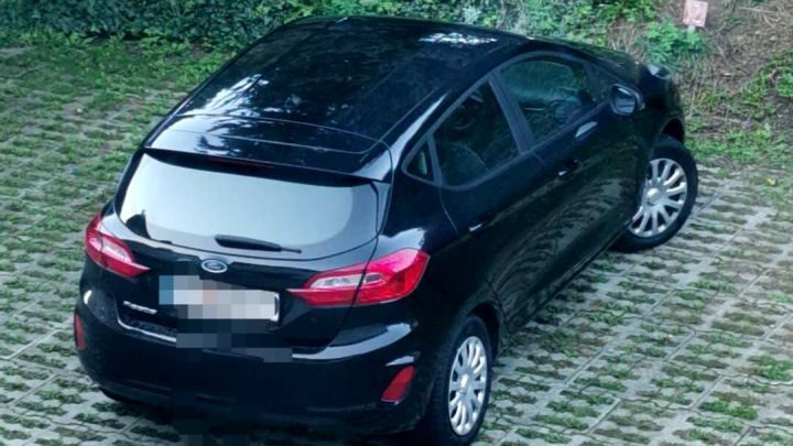 Auto parkt auf begr&uuml;ntem Pflaster, umgeben von hohen Nadelb&auml;umen.