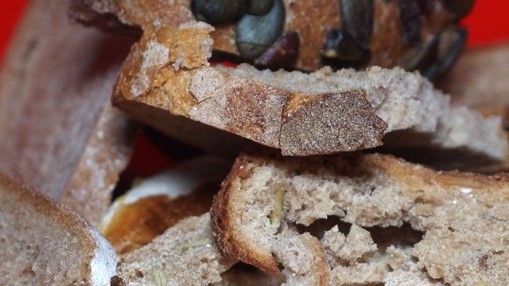 Trockenes Brot liegt auf einem roten Untergrund, zerbr&ouml;selt und eignet sich als gesunde Hundesnack-Alternative.
