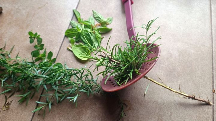 Ein Sieb trennt Kr&auml;uterbl&auml;tter vom Stiel auf einer K&uuml;chenoberfl&auml;che. Datum in der Ecke: 27. Sept. 2024, 11:02.