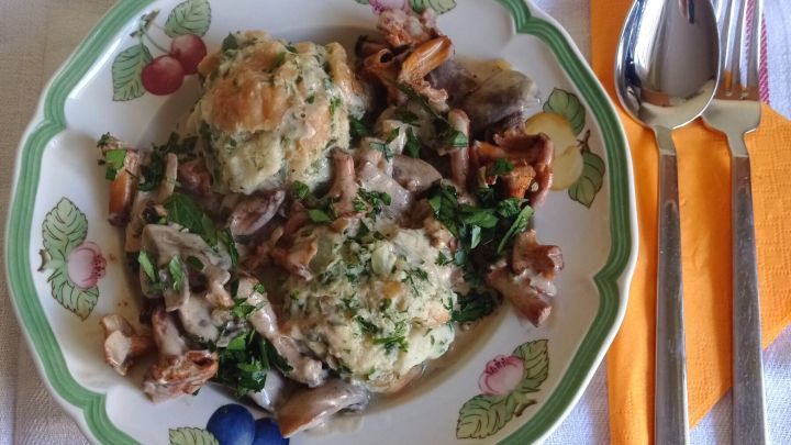 Pilzragout mit Semmelknödel - Rezept | Frag Mutti Pilzragout mit Semmelknödel - Rezept | Frag Mutti