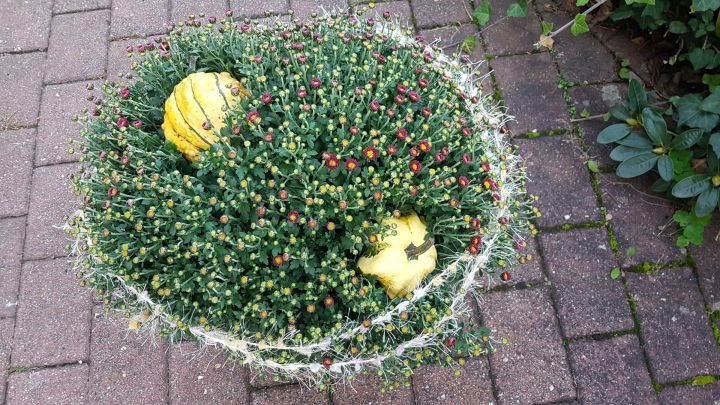 K&uuml;rbisse liegen dekorativ in einem &uuml;ppigen Chrysanthemen-Blumenarrangement auf gepflastertem Untergrund im Freien.