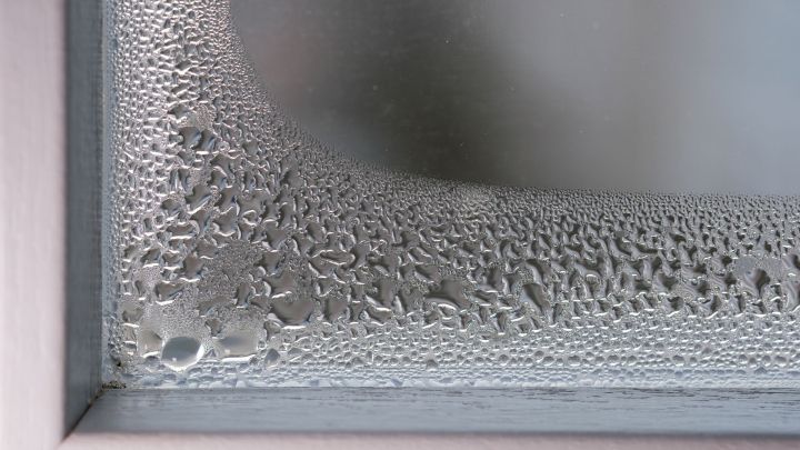 Fenster beschlagen von innen: Kondenswasser bildet sich an der Innenseite eines Fensters und bedeckt das Glas mit vielen kleinen Tr&ouml;pfchen.