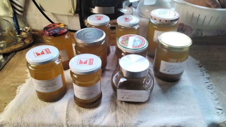 Frisch eingekochter Rinderfond: In diesem Artikel erf&auml;hrst du, wie du aus Rinderknochen einen schmackhaften Fond selber machst. Perfekt konserviert in Gl&auml;sern, bereit zum Einsatz in zahlreichen Rezepten.