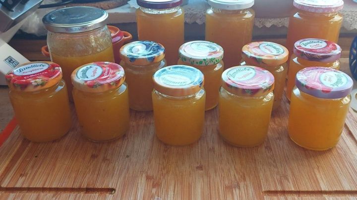 Selbstgemachte Zwetschgen-Marmelade, nicht zu s&uuml;&szlig; &ndash; ideal zum Einstreichen von Tortenboden.