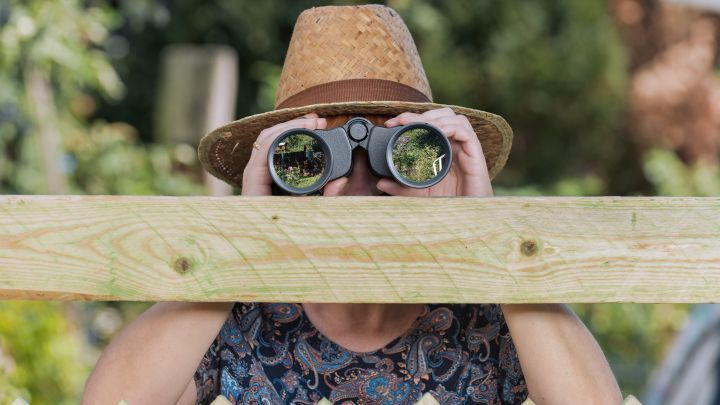 Ein bisschen Privatsph&auml;re gef&auml;llig? Mit einem Sichtschutz bleiben die Blicke neugieriger Nachbarn aus.