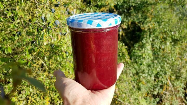 Selbstgemachte Schlehenmarmelade: Mit diesem Rezept verwandelst du wilde Schlehen von der Hecke in ein fruchtiges Highlight.