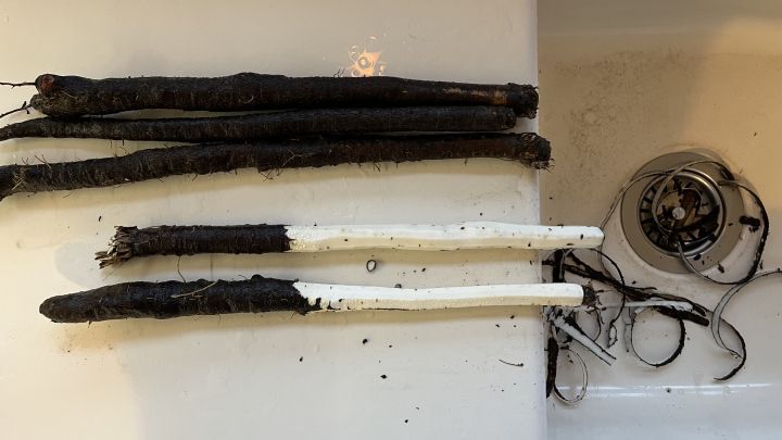 Am einfachsten bereitet man die Schwarzwurzeln seitlich neben dem Sp&uuml;lbecken zu. So gibt es durch den milchigen Saft keine Flecken.