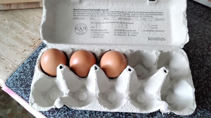 Manches Mal ist es gar-nicht so leicht die Eier aus dem Karton zubekommen! Immer wieder rutschen mir die Eier aus den Fingern. 