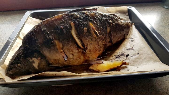 Zitronen, Oliven&ouml;l, Meersalz, Salbei und Knoblauch geben dem gebackenen Karpfen eine frische mediterrane Note. 