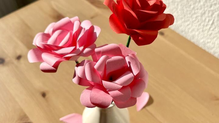 Papierrosen basteln geht ganz einfach und kann nicht nur was als Deko hermachen, sondern ist auch eine sch&ouml;ne Geschenkidee.