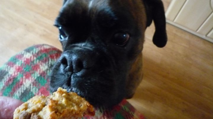 &Uuml;berraschungsmuffins