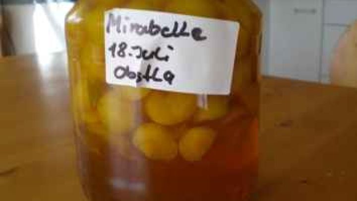 Leckerer Mirabellen-Lik&ouml;r