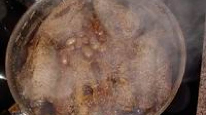 Winzer Rouladen, deftig und lecker.