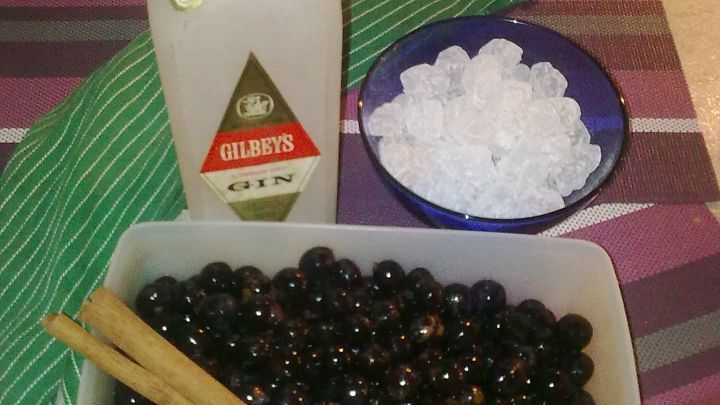 Schlehen-Gin selber machen