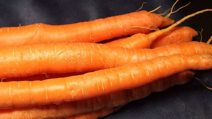 Frische, orange M&ouml;hren liegen &uuml;bereinander auf einem dunklen Untergrund und vermitteln eine appetitliche Ausstrahlung.